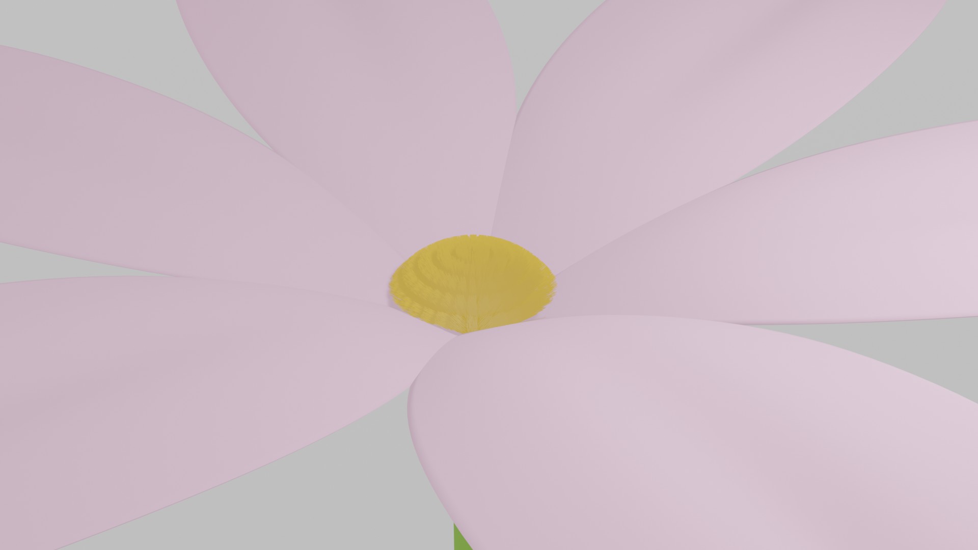 blender flower